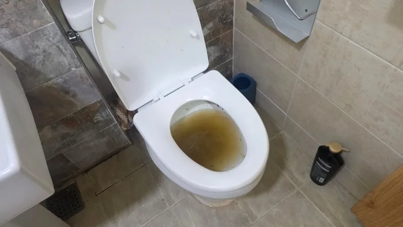 물이 내려가지 않아 수위 확인이 필요한 변기 상태