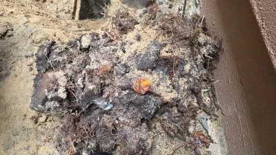 고양 집수정 작업 원문에 수록된 뿌리와 흙이 섞인 물질