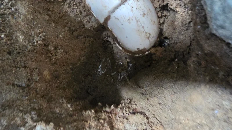 동인천 주택 바닥 아래 드러난 배관 주변