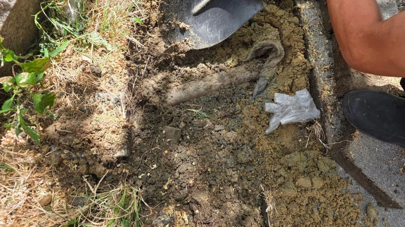 노출한 배관 주변의 뿌리와 흙 상태
