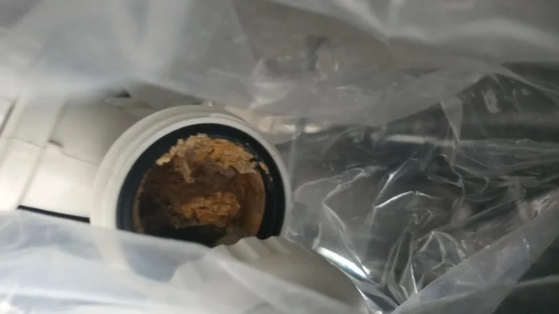 점검 입구에서 보이는 단단한 배관 침전물