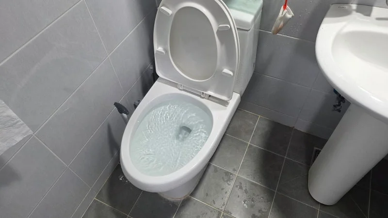 문래동 변기 배수 증상을 확인한 욕실